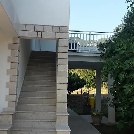 Viganj 13241c * ترستينيك